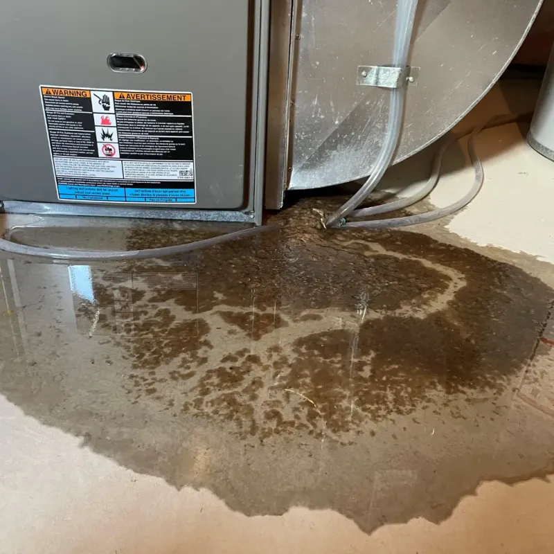 Appliance Leak Cleanup in Gardendale, AL