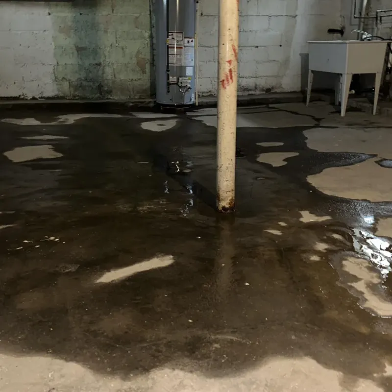 Emergency Water Extraction And Removal in Gardendale, AL